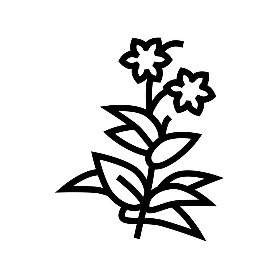 ilustração em vetor ícone de linha de fitoterapia de planta de flor