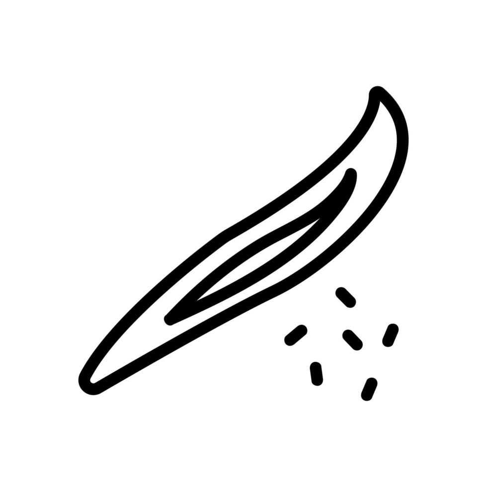 ilustração de contorno de vetor de ícone de especiarias de baunilha