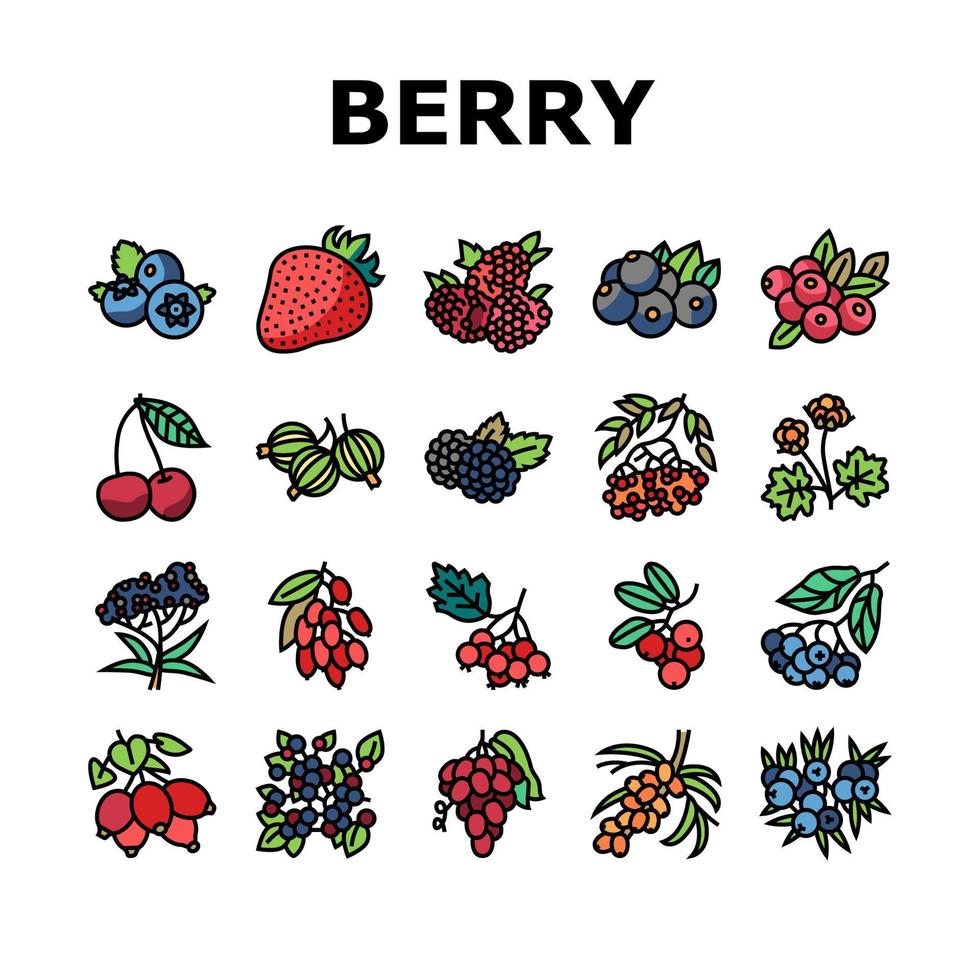 berry delicioso e conjunto de ícones de alimentos vitamínicos vetor