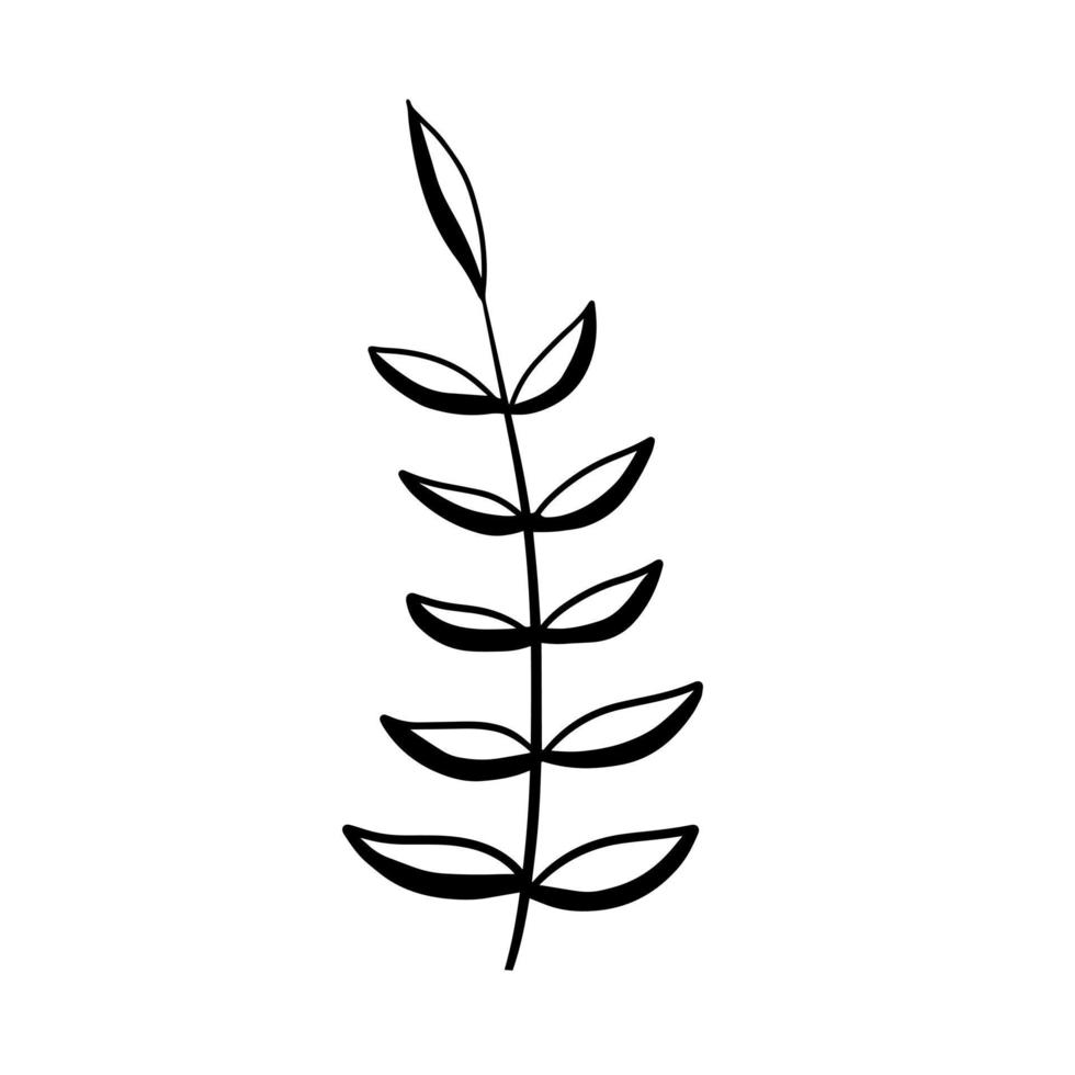 planta natural. flor abstrata doodle. esboçar caule preto e branco com folhas vetor