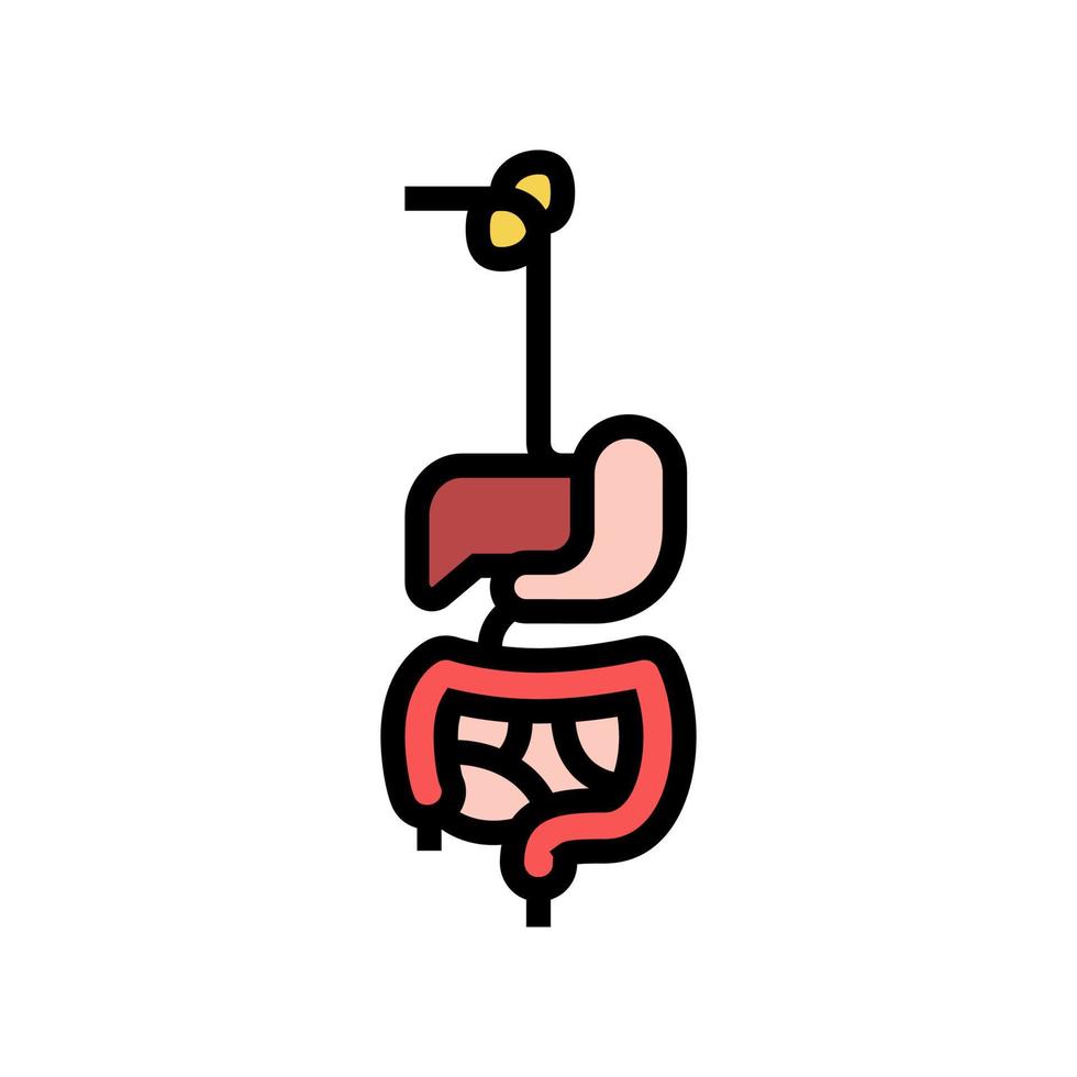 ilustração em vetor ícone de cor do sistema digestivo