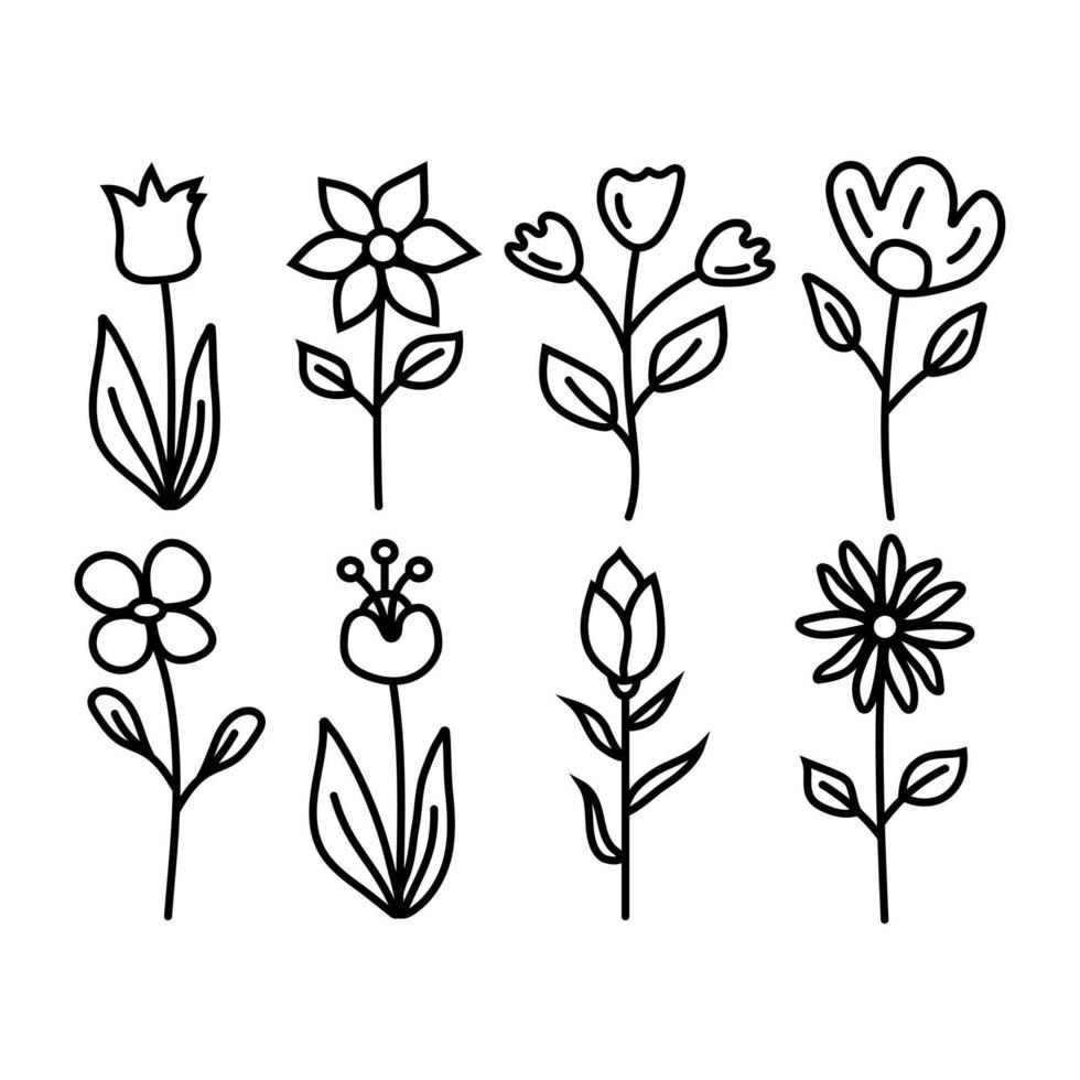 elementos desenhados à mão de flores e folhas vetoriais, design de coleção de doodle de flores vintage, modelo, cartão de casamento, convite, cartão de saudação, pôster, cartão postal. vetor