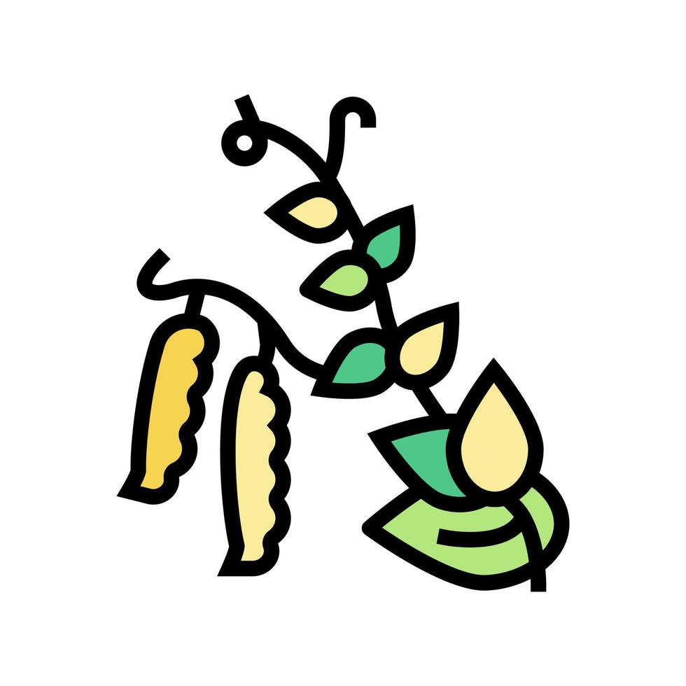 ilustração em vetor ícone de cor de ervilhas maduras
