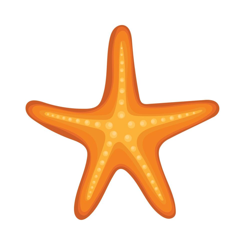 estrela do mar animal vida marinha vetor