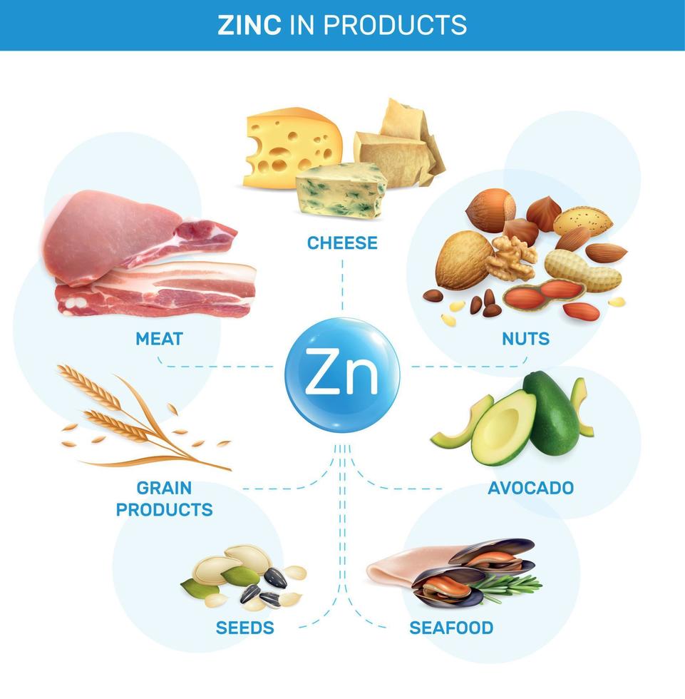 fluxograma de alimentos contendo zinco vetor