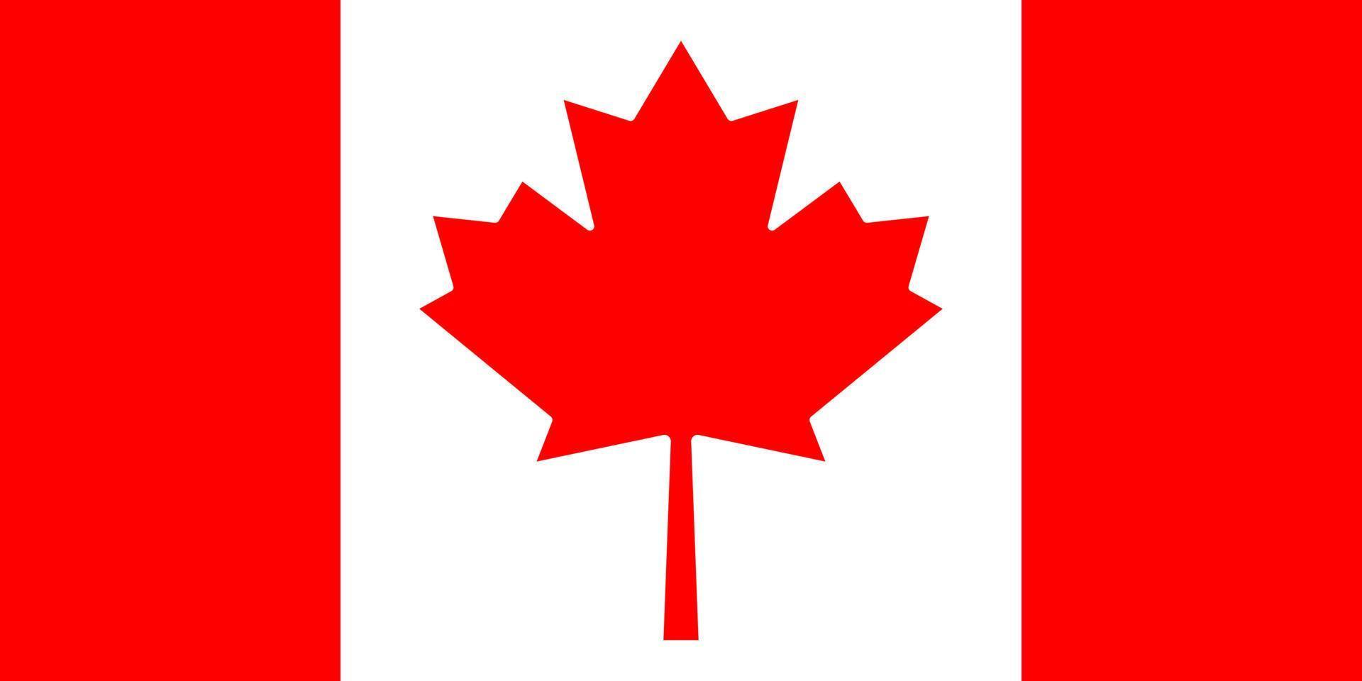 bandeira do Canada. bandeira nacional canadense. bandeira nacional com folha de plátano vermelha. vetor