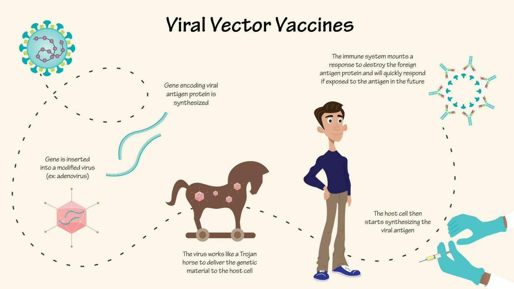 infográfico de vacina de vetor viral