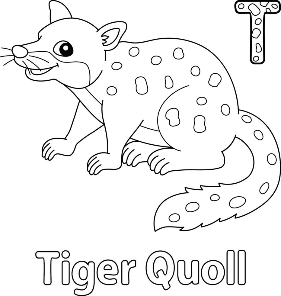 desenho de alfabeto quoll tigre abc para colorir t vetor