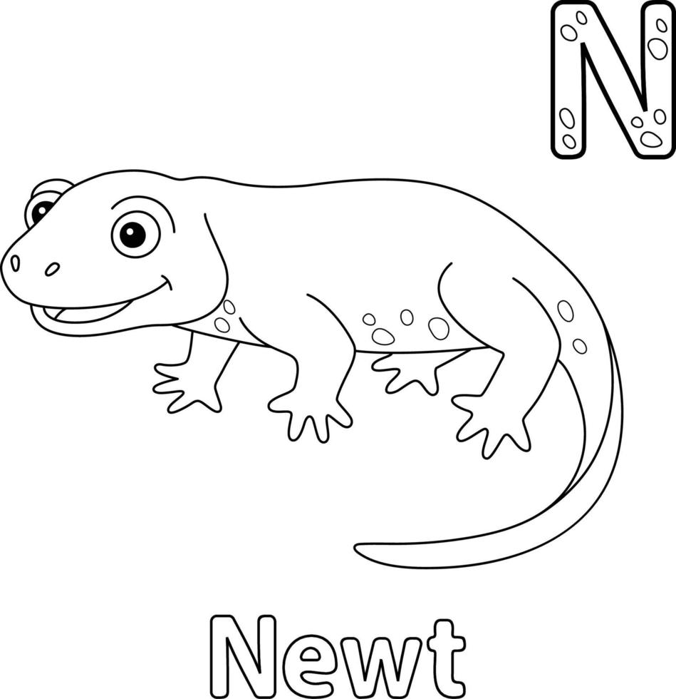 página para colorir do alfabeto newt abc m vetor