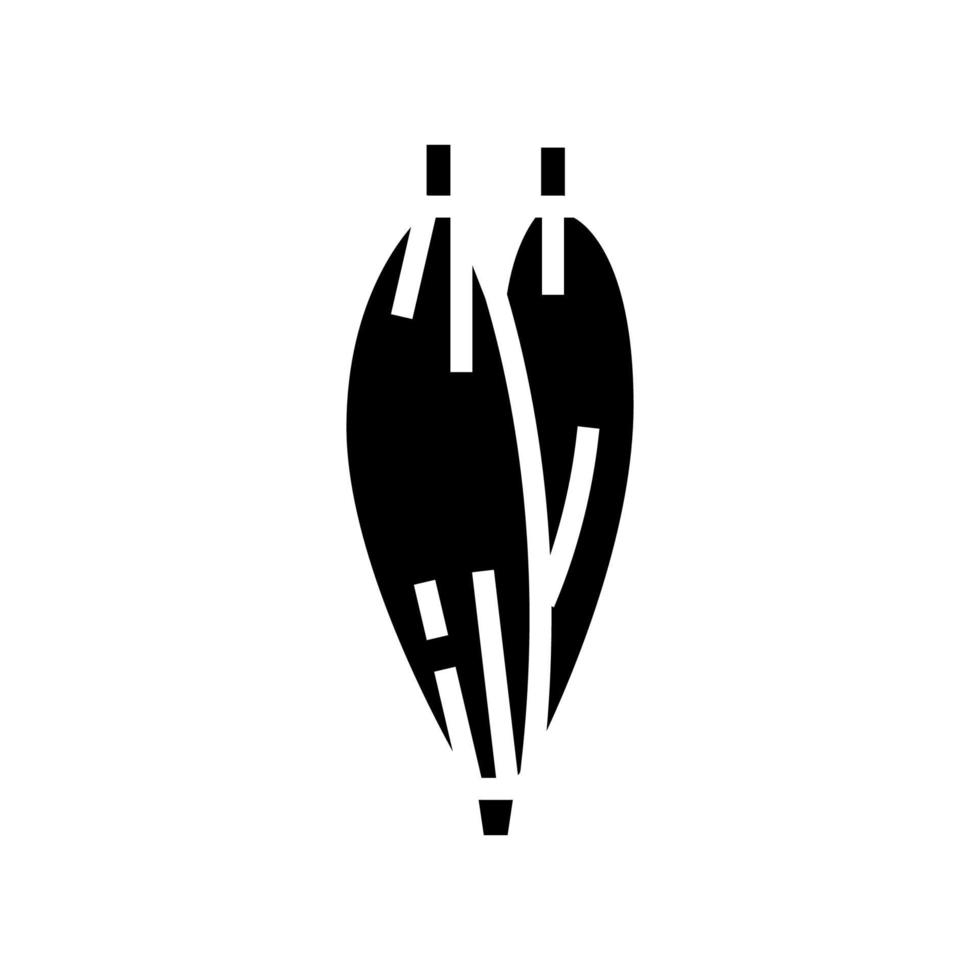 ilustração do vetor do ícone do glifo da anatomia humana do músculo