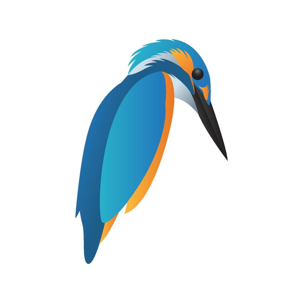 modelo de logotipo de pássaro martim-pescador colorido isolado no fundo branco vetor