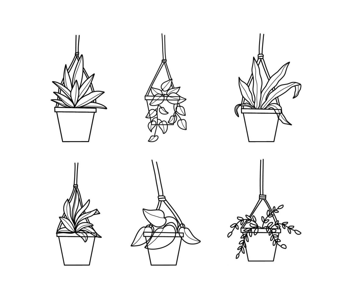 coleção de ilustrações de plantas de casa suspensa vetor