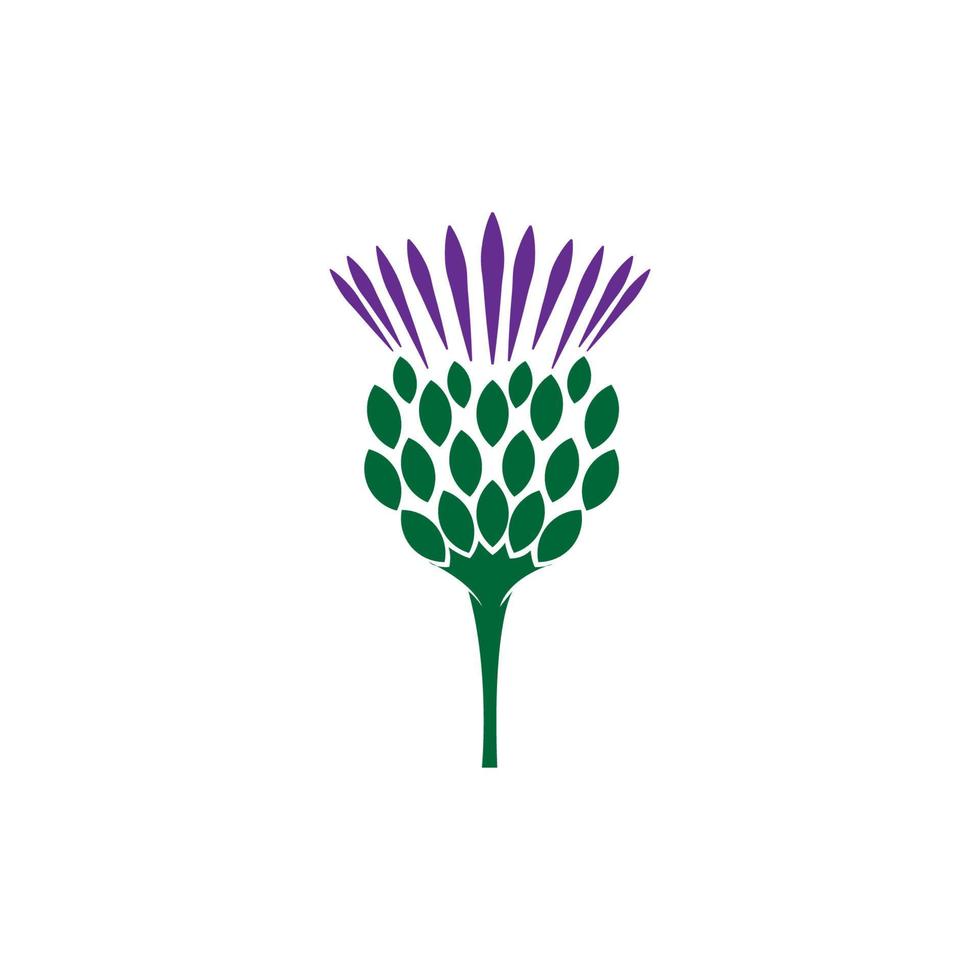 ilustração de logotipo de flor de cardo escocês vetor