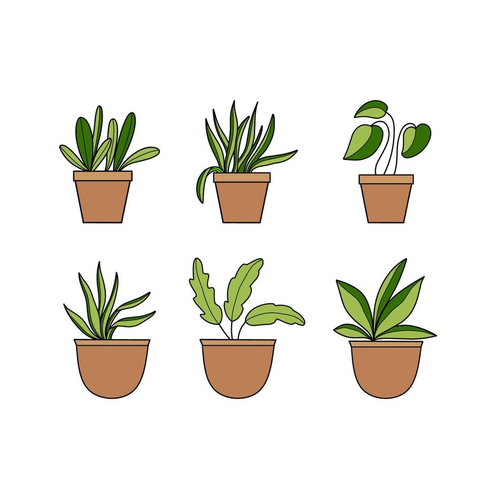 conjunto de ilustrações de folhas de plantas em vasos em fundo branco vetor