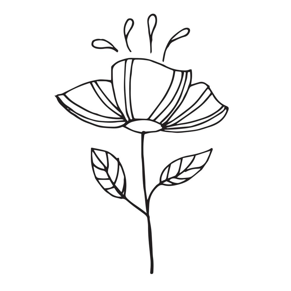 desenho de mão simples, ilustração vetorial de papoulas estilizadas. flores desabrochando são desenhadas por linhas. jardinagem, ícone da primavera. isolado no fundo branco vetor