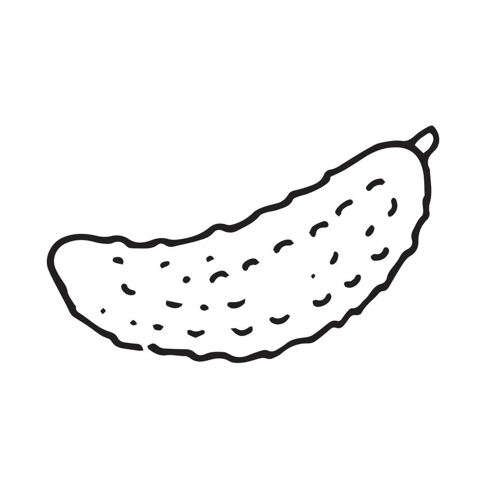 estoque ilustração vetorial desenho em estilo doodle. pepino. bonito desenho à mão vegetal de jardim vetor