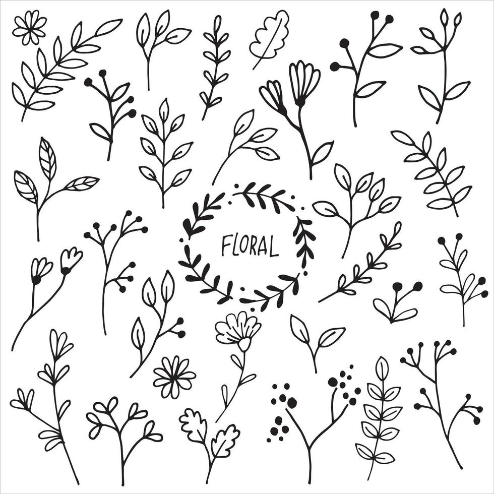desenho vetorial em estilo doodle. conjunto de folhas e galhos abstratos, flores modernas. desenhos de linhas simples. vetor