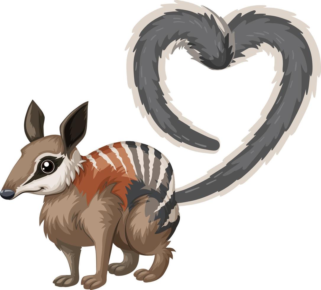 numbat com cauda de coração vetor