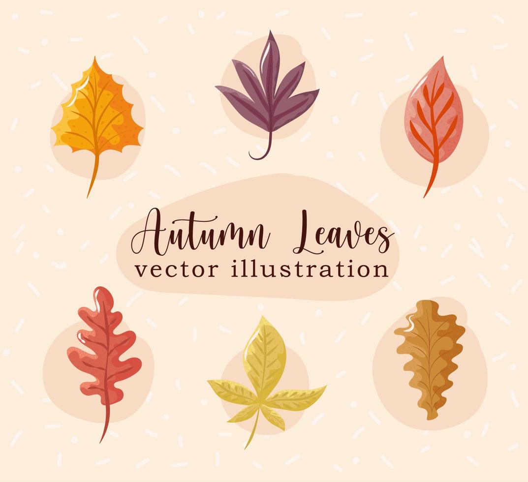ícones de folhas de outono vetor