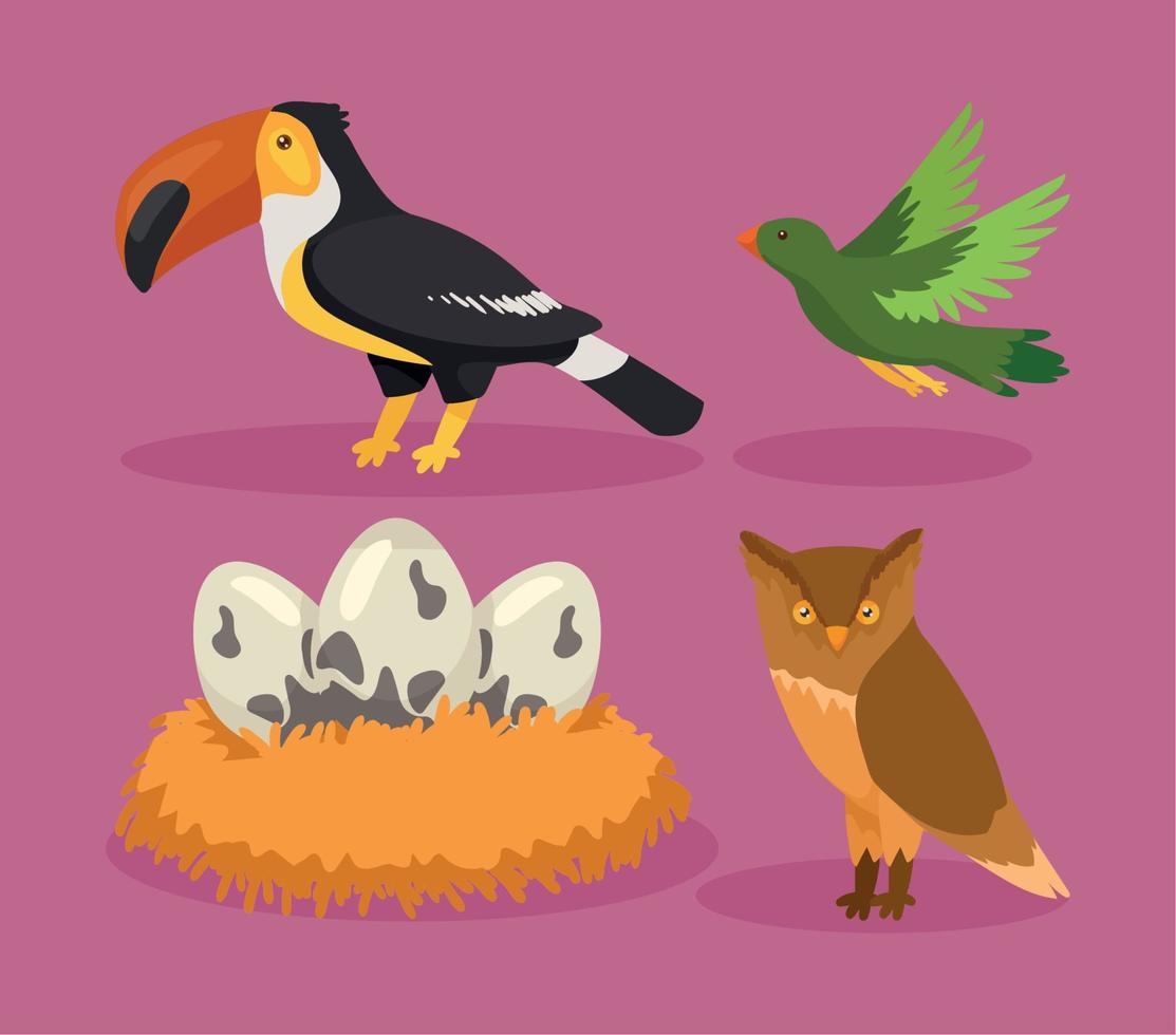 quatro ícones de espécies de pássaros vetor