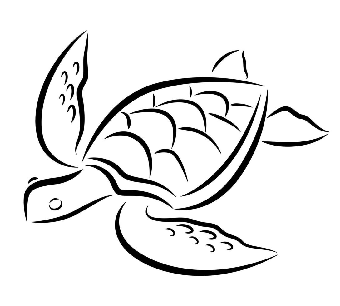 tartaruga marinha desenhando linhas pretas vetor