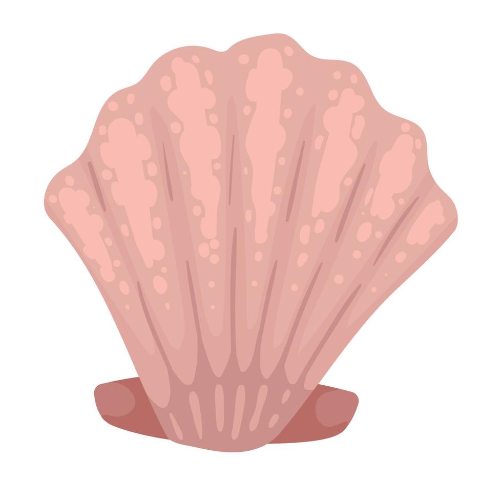 concha do mar rosa vetor