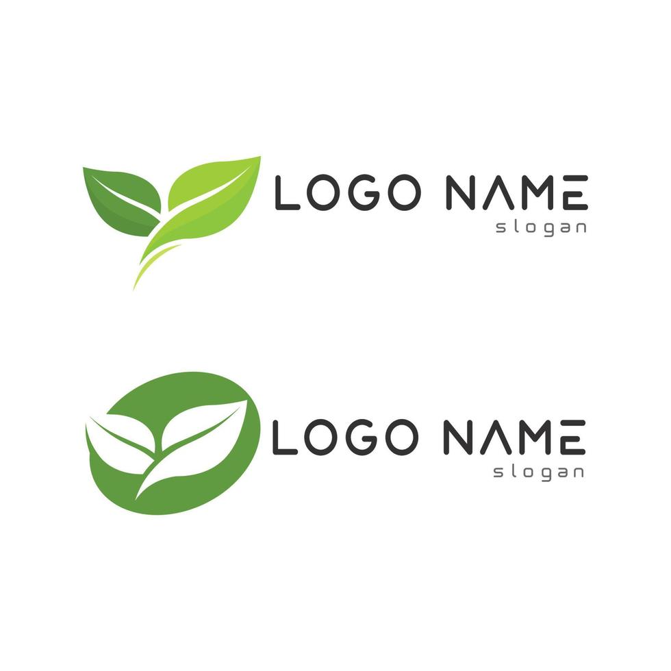 folha e logotipo da árvore da natureza para vetor de negócios ecologia de planta verde