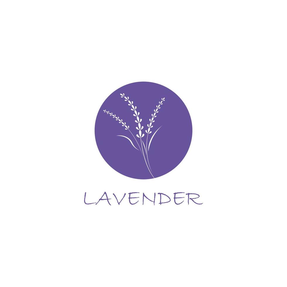 vetor de logotipo de flor de lavanda fresca