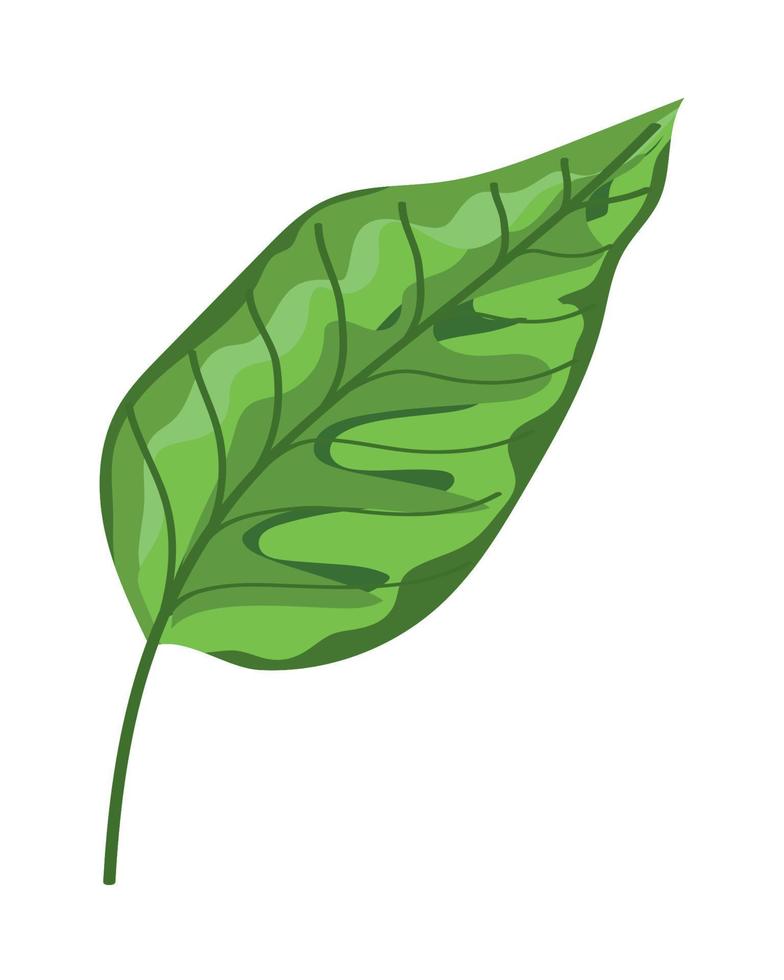 planta de folha verde vetor