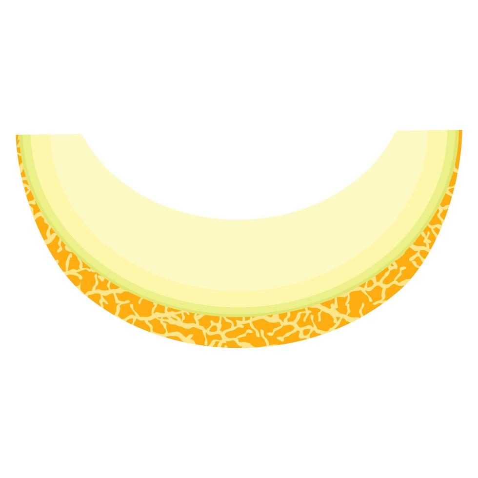 fruta de melão fatia fresca cortada isolada no fundo branco. melão. frutas de verão para um estilo de vida saudável. fruta orgânica. estilo de desenho animado. ilustração vetorial para qualquer projeto. vetor