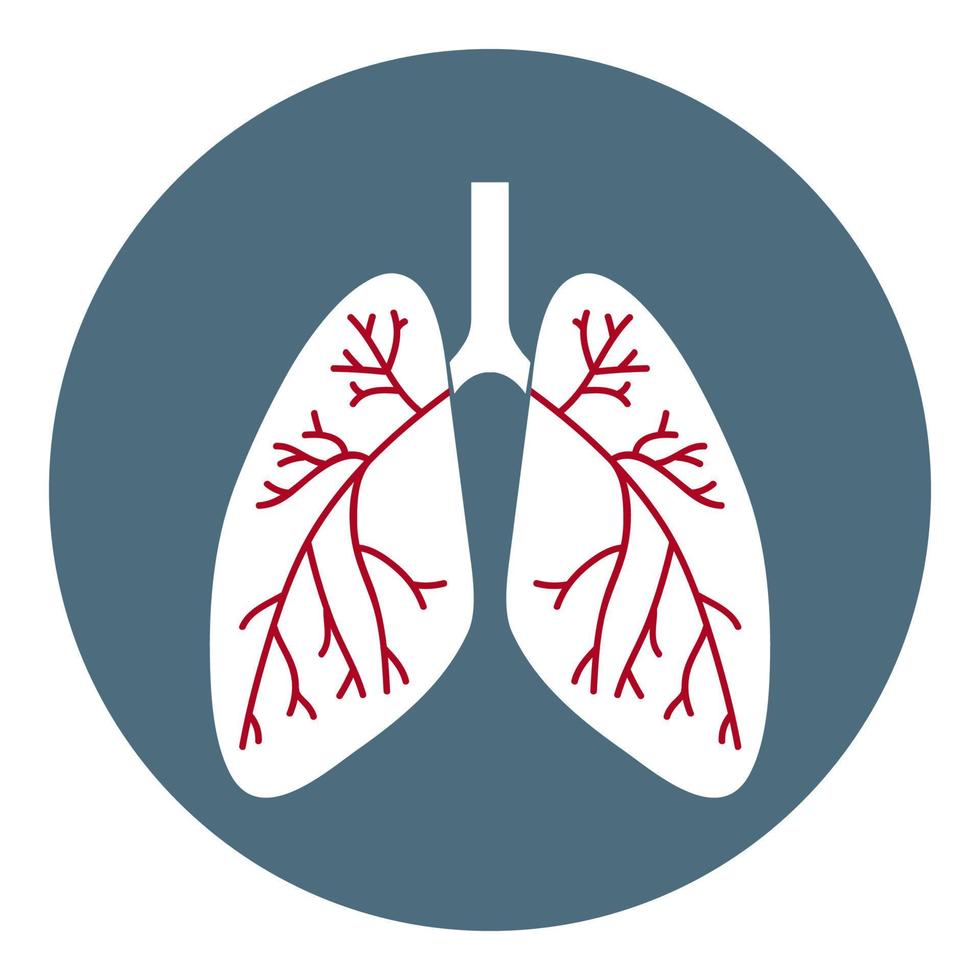 ícone de pulmões de vetor. símbolo de cuidados de saúde isolado no fundo branco. estilo plano. ilustração vetorial para aplicativos, sites. vetor