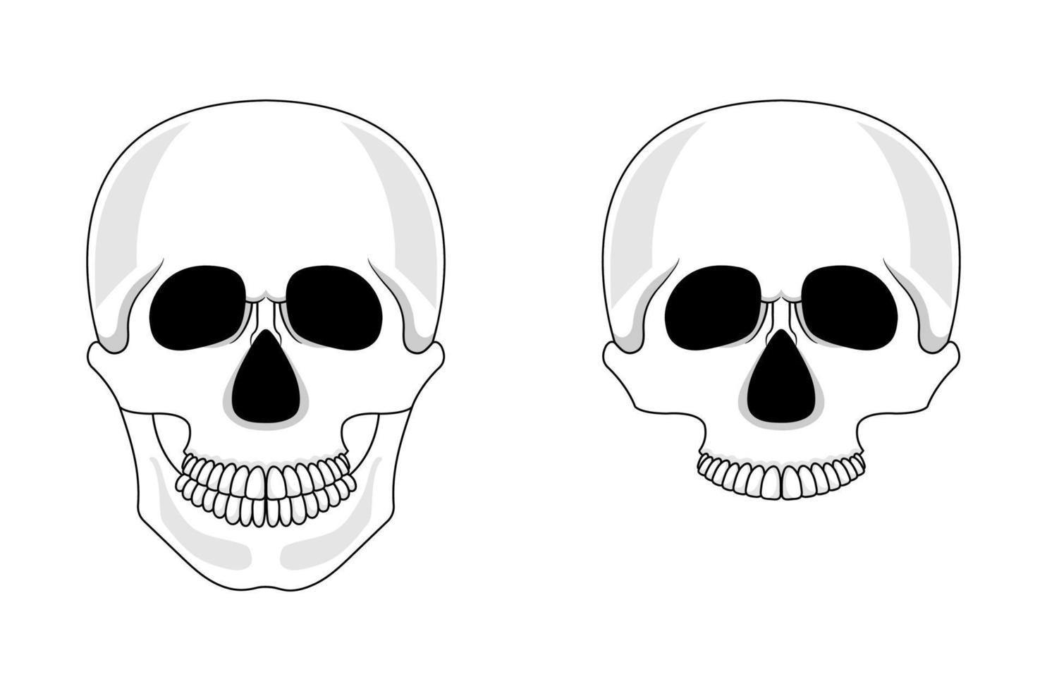 crânio isolado no fundo branco. crânio humano dos desenhos animados com mandíbula. ilustração vetorial para qualquer projeto. vetor