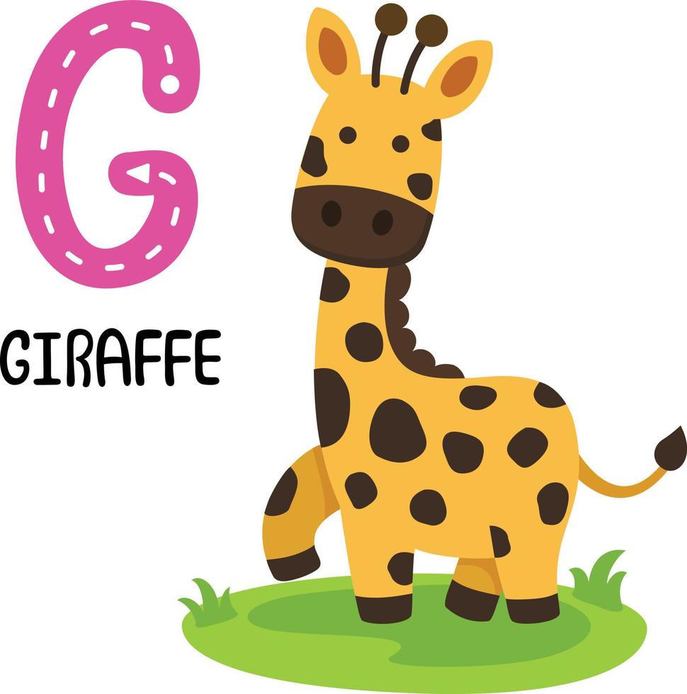 ilustração isolado animal alfabeto letra g-girafa vetor
