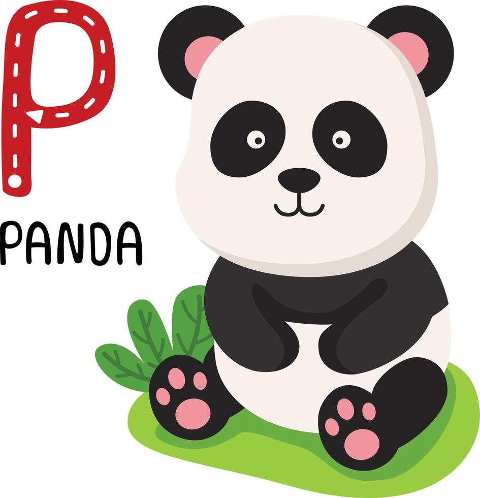 ilustração isolado animal alfabeto letra p-panda vetor