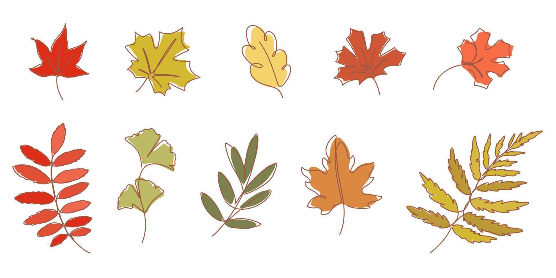 desenho de linha contínua de ilustração vetorial de folhas de outono vetor