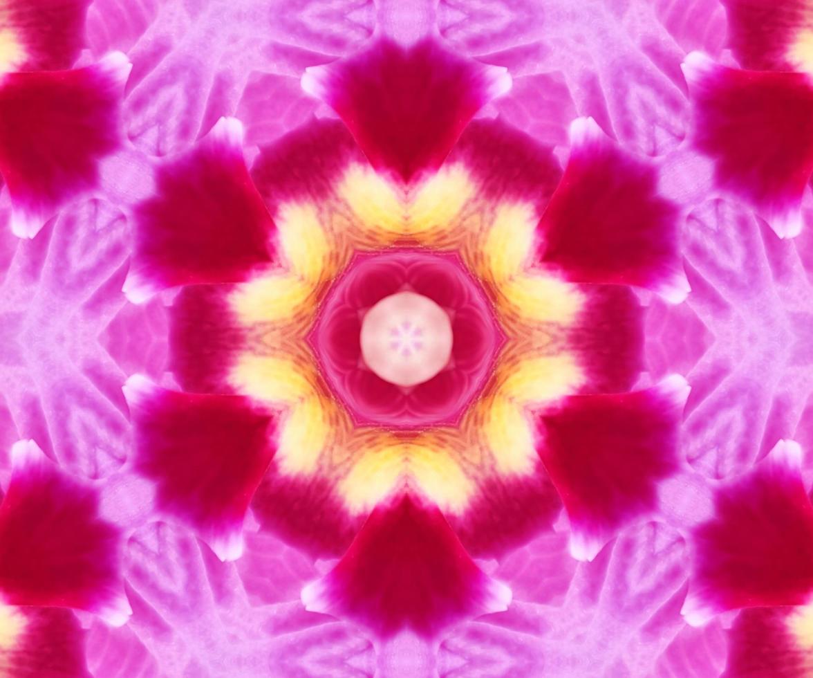 mandala de padrão geométrico abstrato rosa floral pétalas de flores naturais. vetor