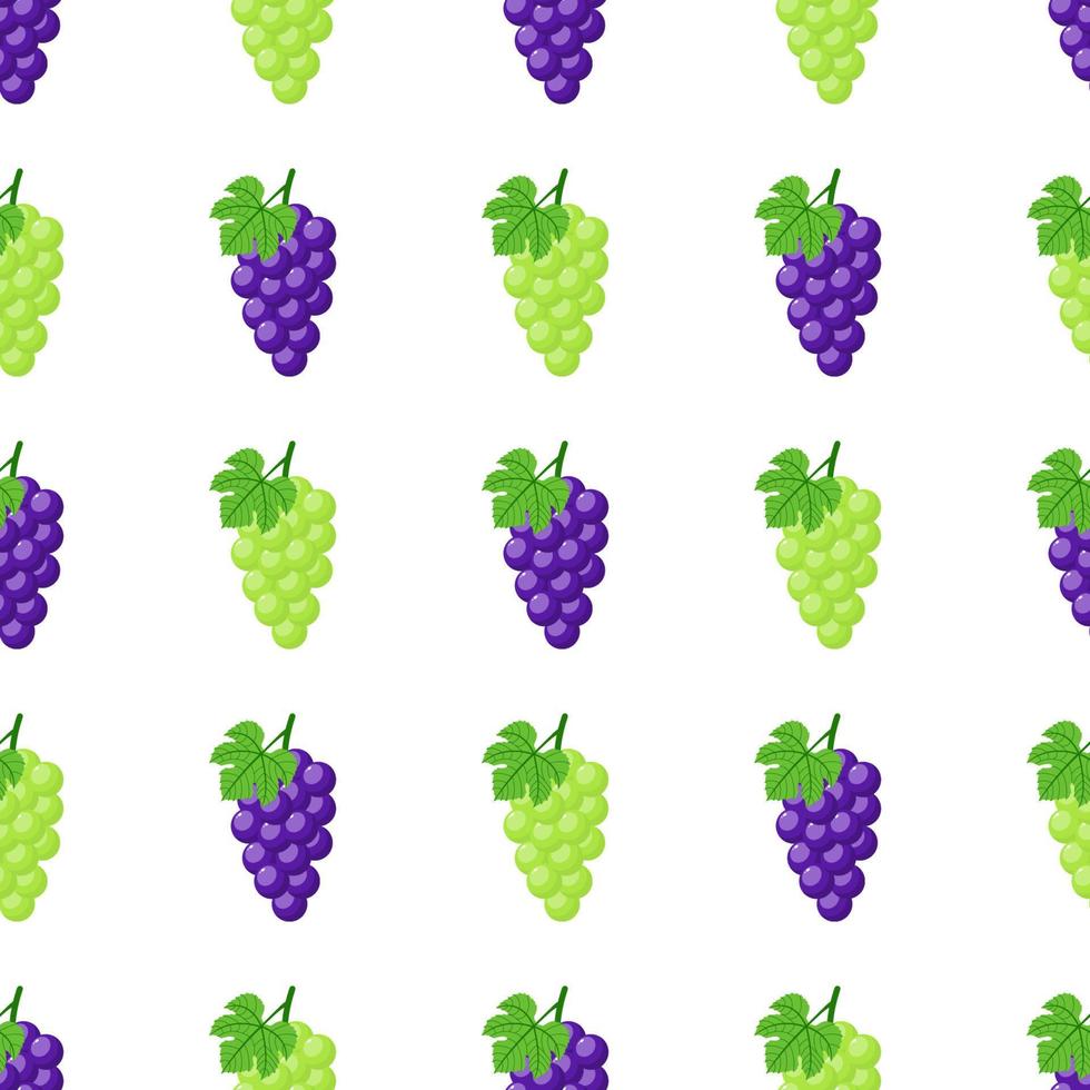 padrão sem emenda com uvas roxas e verdes sobre fundo branco. cacho de uvas roxas com caule e folha. ilustração vetorial para design, web, papel de embrulho, tecido, papel de parede vetor
