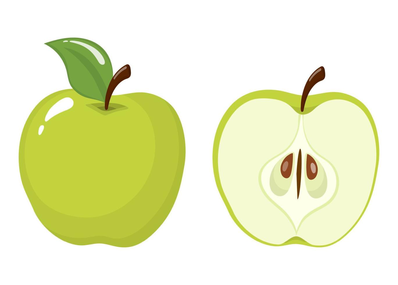 fresca inteira e meia maçã verde isolada no fundo branco. fruta orgânica. estilo de desenho animado. ilustração vetorial para qualquer projeto. vetor