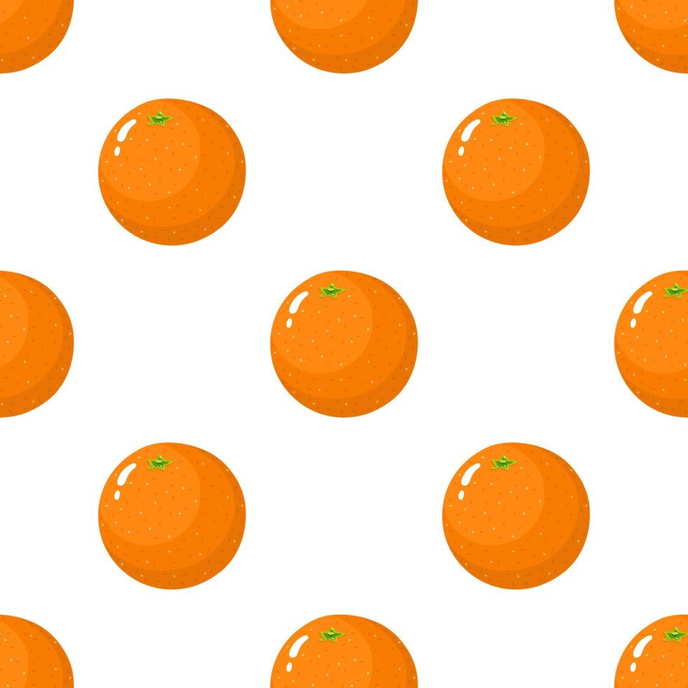 padrão sem emenda com frutas frescas de laranja inteira em fundo branco. tangerina. fruta orgânica. estilo de desenho animado. ilustração vetorial para design, web, papel de embrulho, tecido, papel de parede. vetor