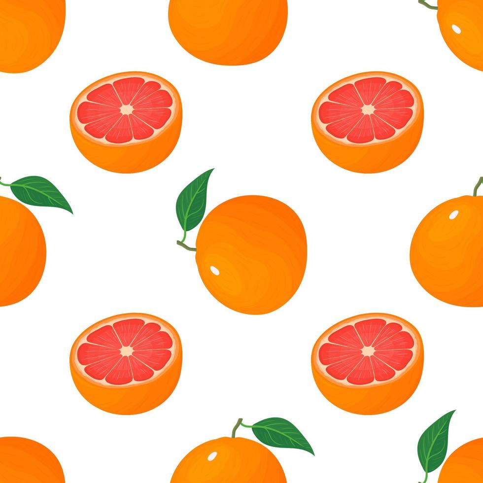 sem costura padrão com toranja inteira e meia exótica brilhante fresca isolada no fundo branco. frutas de verão para um estilo de vida saudável. fruta orgânica. estilo de desenho animado. ilustração vetorial para qualquer projeto. vetor