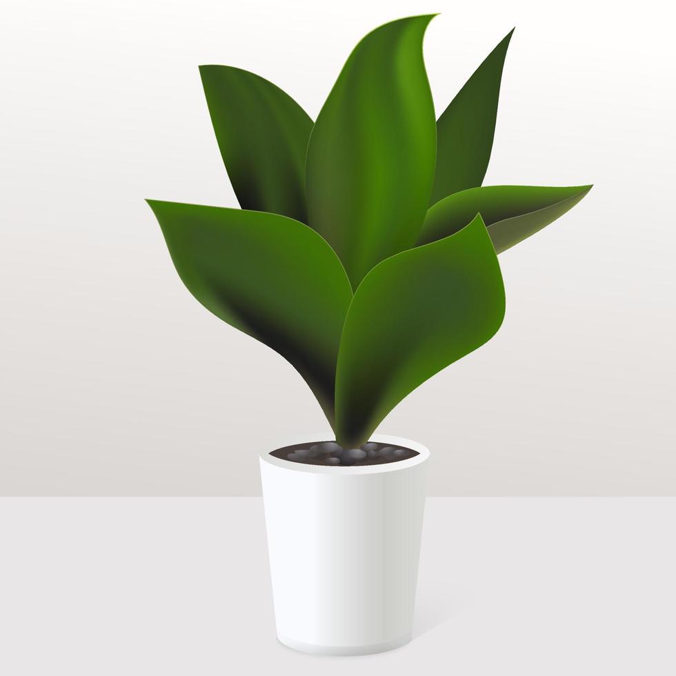 planta verde realista em vaso branco no interior. planta de casa tropical sansevieria. jardinagem e conceito floral de decoração para casa. ilustração vetorial. vetor