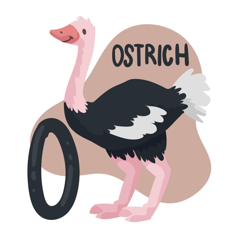 avestruz e o carta vetor