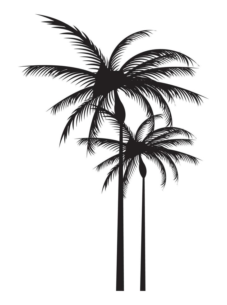 silhuetas de palmeiras de árvores vetor
