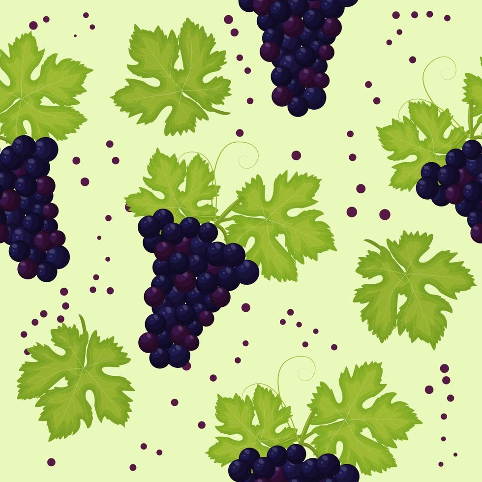 cacho de uvas com folhas sem costura padrão vetor