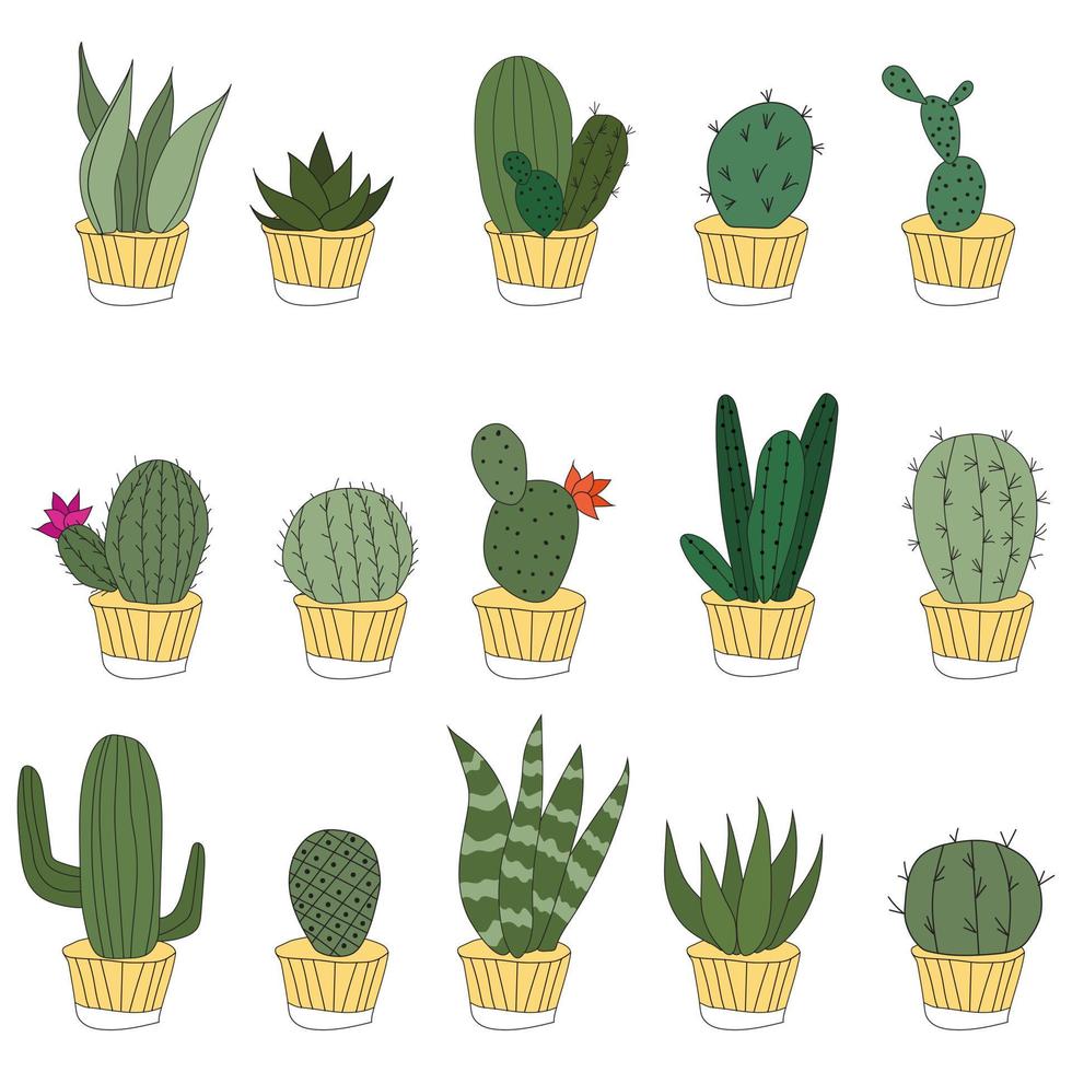 definir cactos doodle fofos em vasos amarelos. ilustração vetorial com plantas de interior bonitos. conjunto de 15 plantas vetor