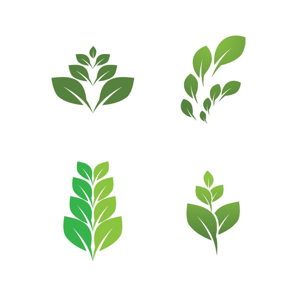 logotipos do vetor de elemento de natureza ecologia de folha verde