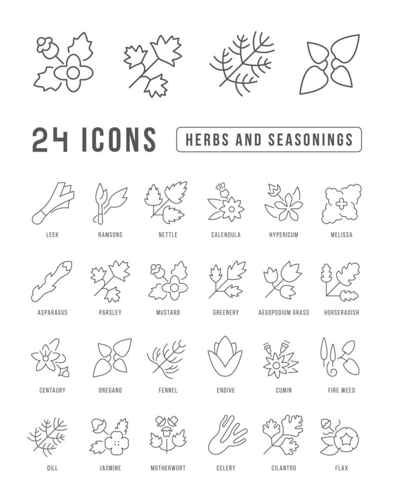 conjunto de ícones lineares de ervas e temperos vetor