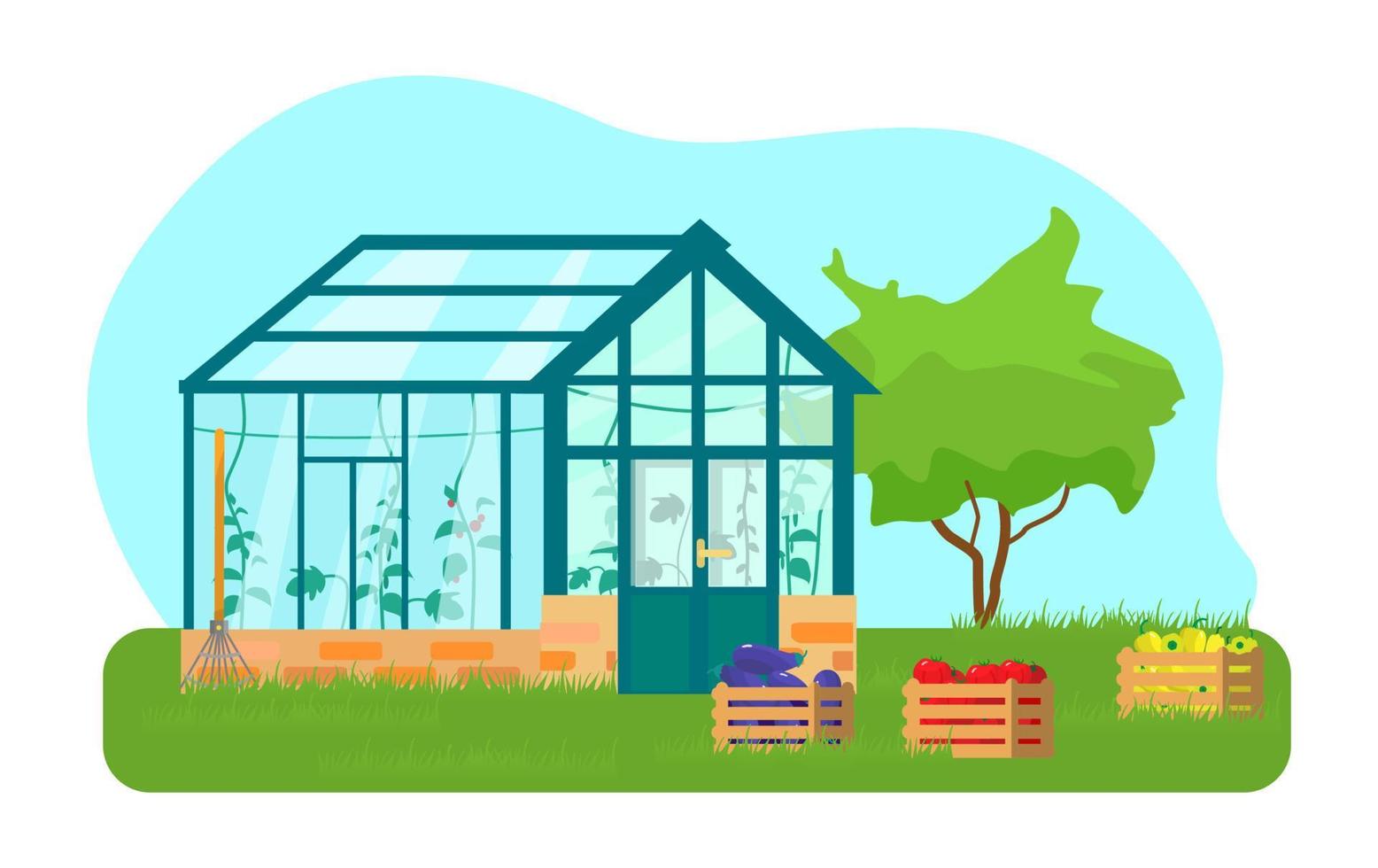 ilustração em vetor de estufa com plantas diferentes dentro em estilo simples. casa de vidro com tomates e plantas de pepino. caixas de madeira com legumes.