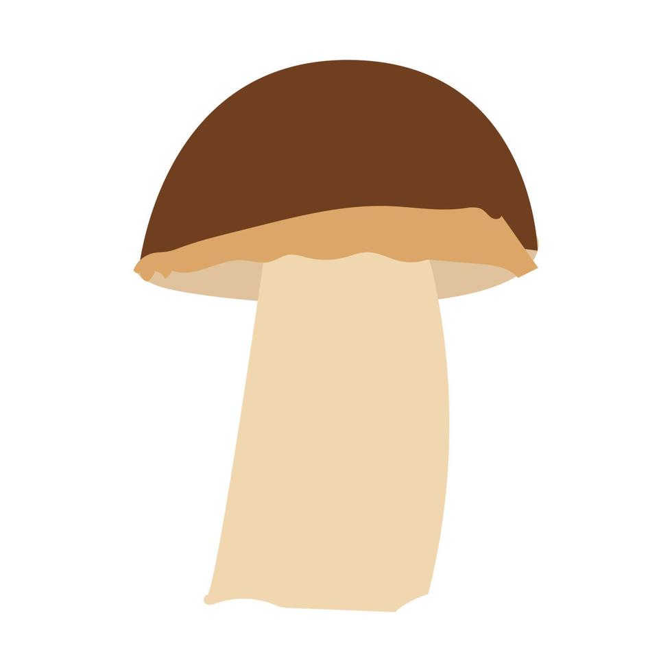 boleto é um cogumelo. cogumelo em um fundo branco. cogumelo de bétula. vetor