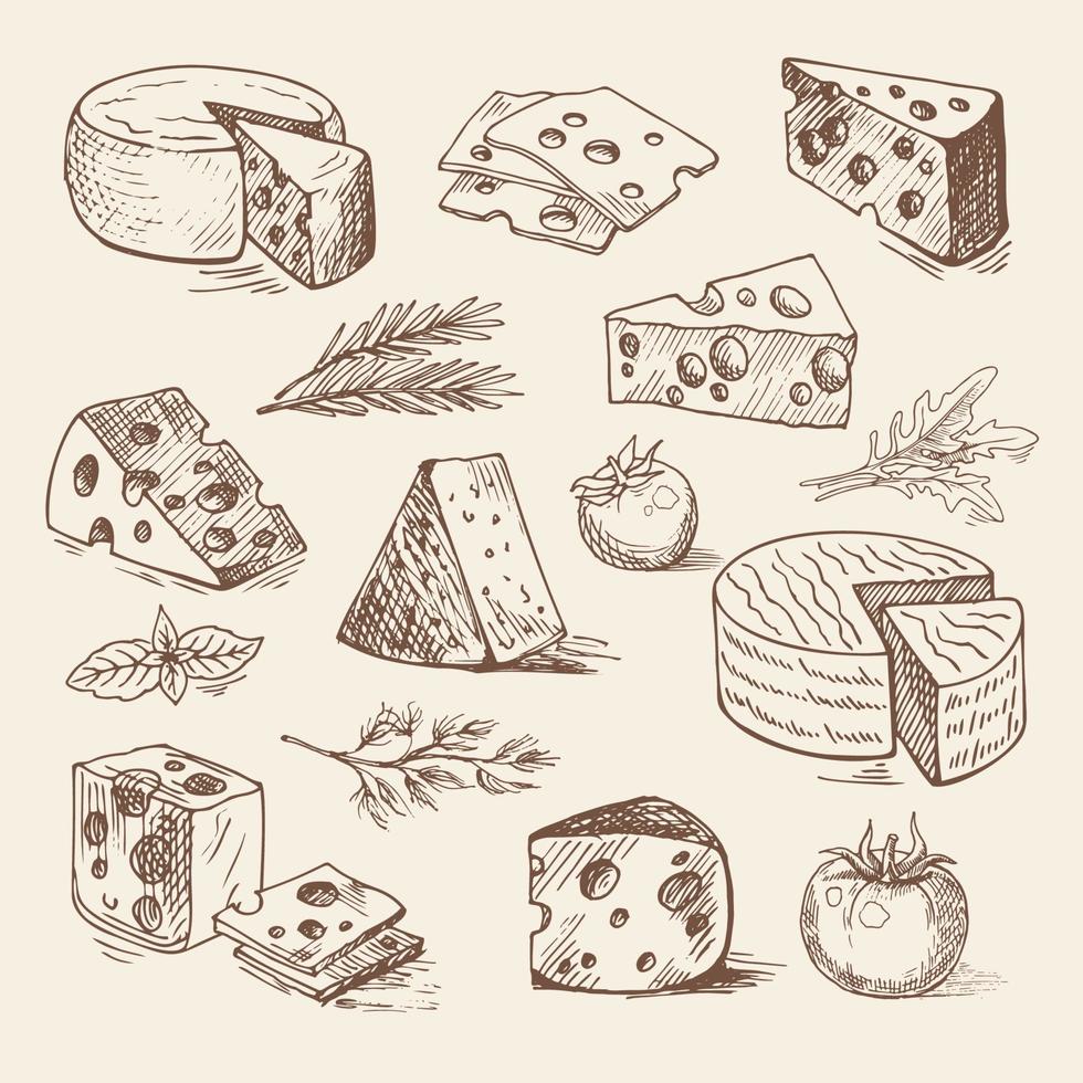 pedaços de mão desenhada de queijo, tomate, verduras. desenho vetorial, ilustração de alimentos orgânicos vetor